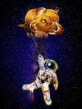 Financial Gravity